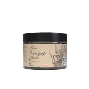 e00b27df1916575bc98555b84bb504d6